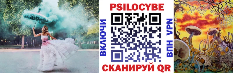 Купить закладки  Ладушкин  Галлюциногенные грибы прущие грибы 