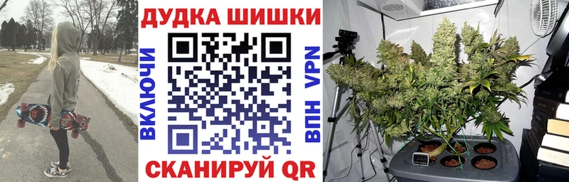 Купить где  Ладушкин  Бошки Шишки SATIVA & INDICA 